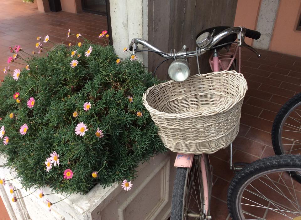 bici